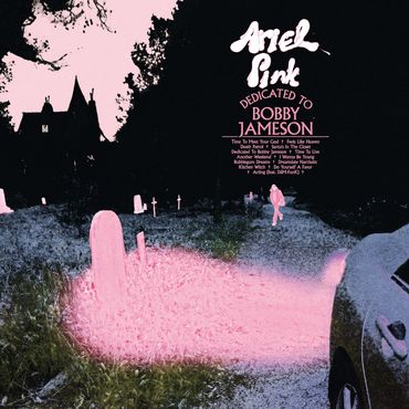 Ariel pink dedicated to bobby jameson
