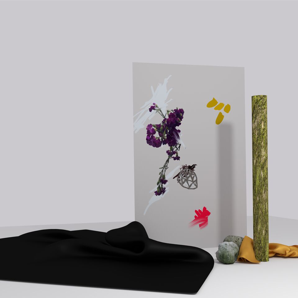 Lowly heba packshot